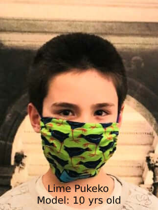 Face Mask Kiwiana Kids Toggle Style