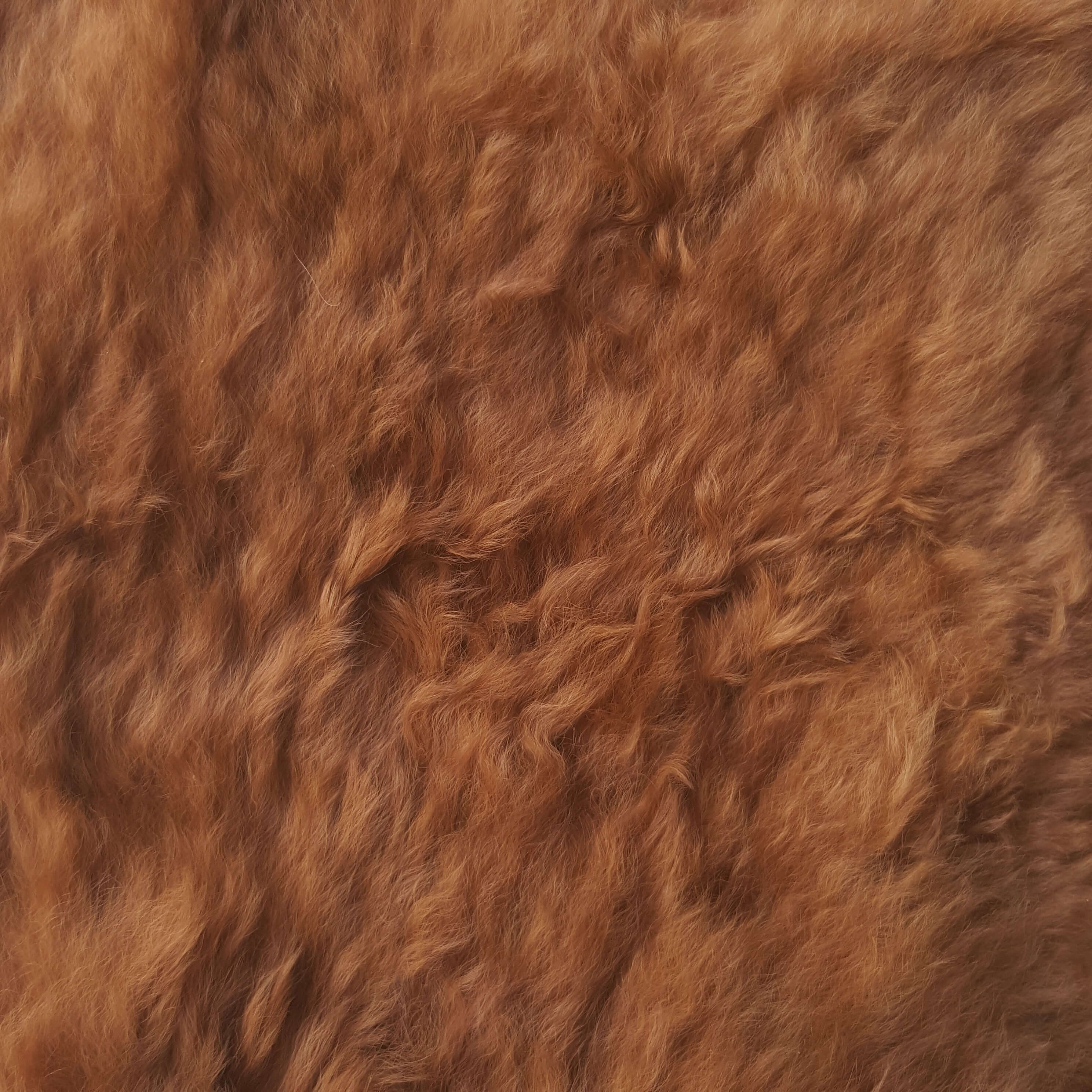 Alpaca Fleece Cossack Russian pillbox hat for men and women in natural color