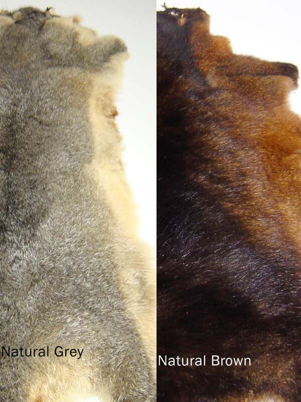 Possum fur tails for craft, animal toys, Daniel Boone hats; old in lots of 10 in natural or colors