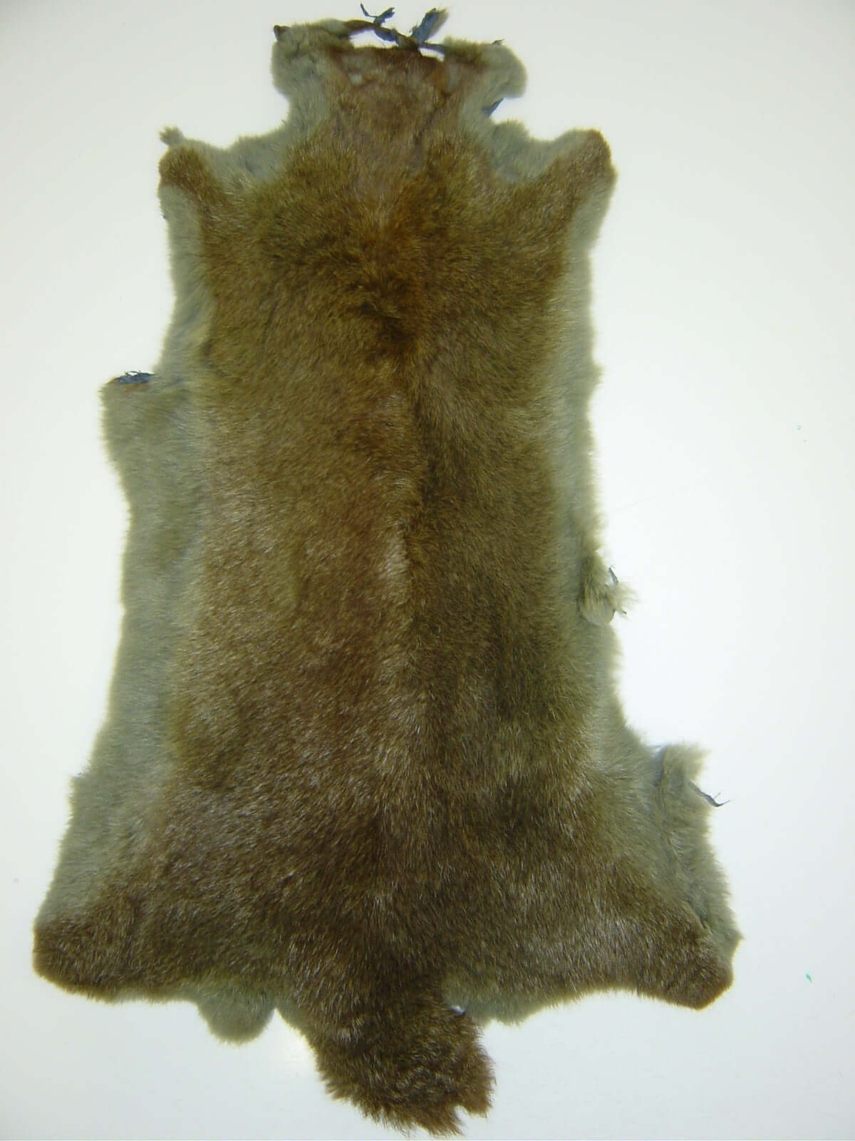 Possum Fur Raw Edge Collar